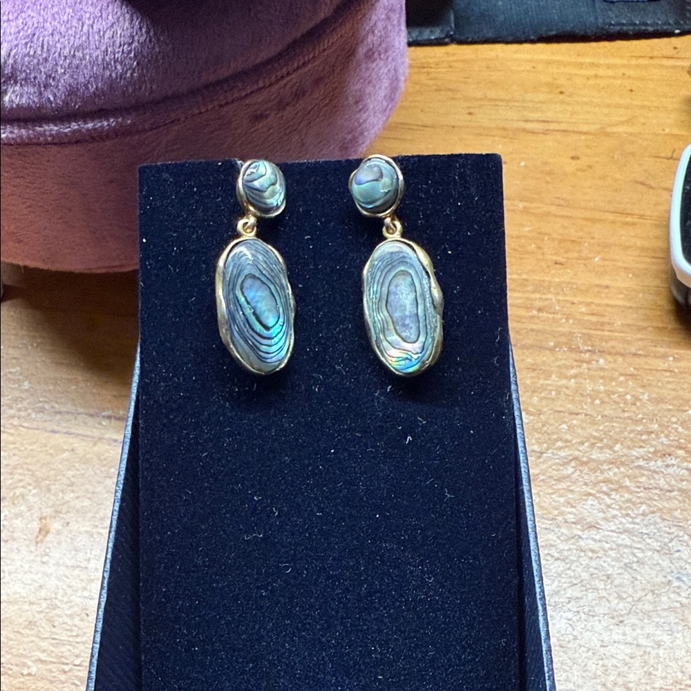 Elegant Abalone Drop Earrings